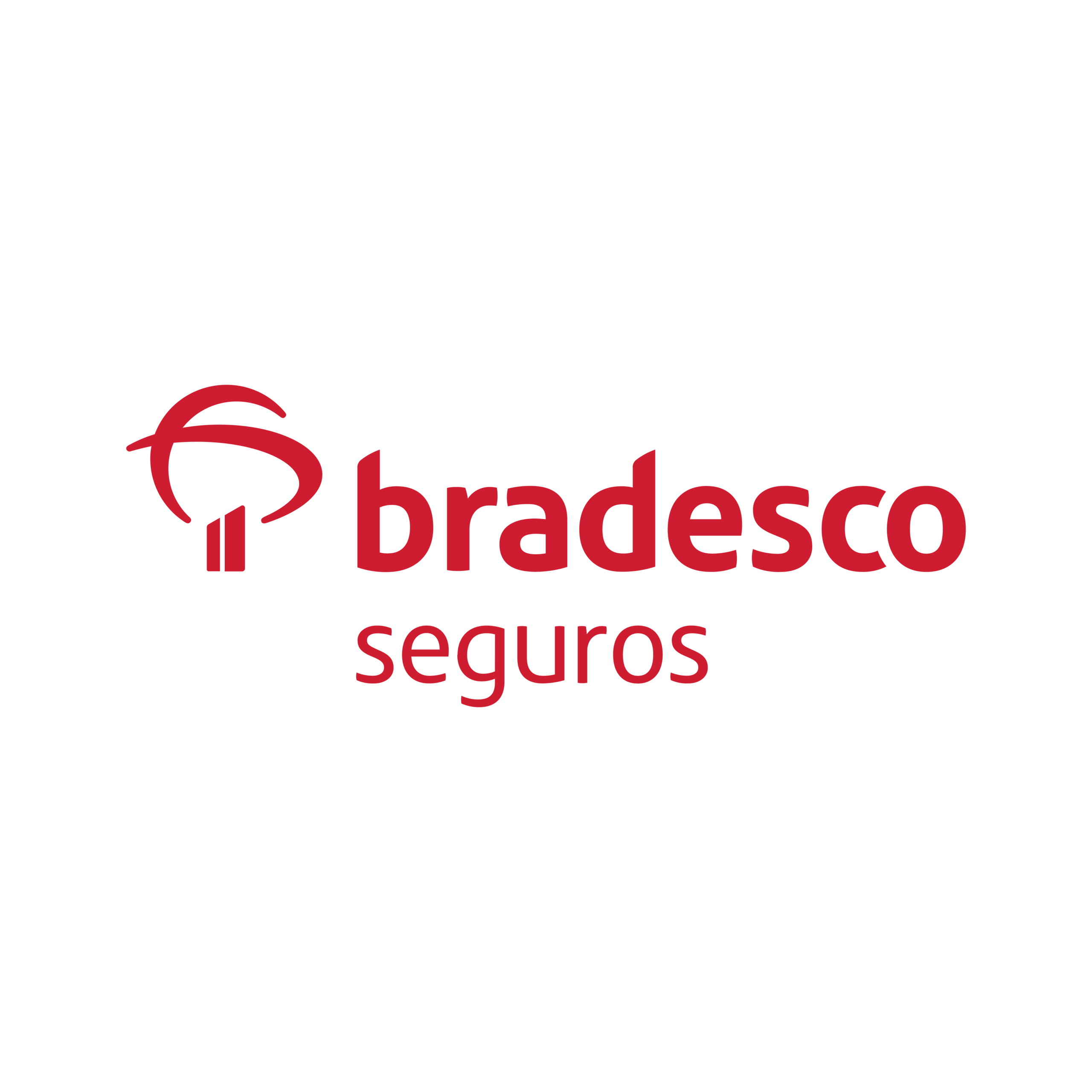 Bradesco Seguros